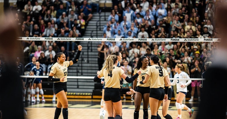 Screenshot 2025-11-10 at 12.06.02 PM